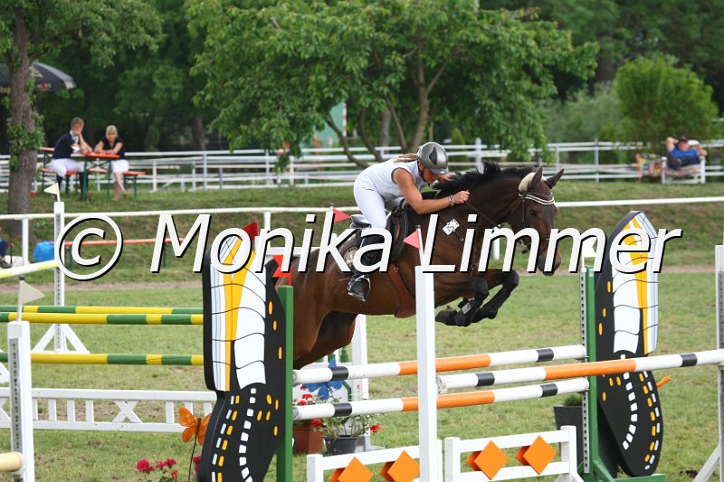 105M2574_Haeusslers Luftikus_Spring_L.JPG